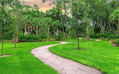 Park Profiles and Pathways