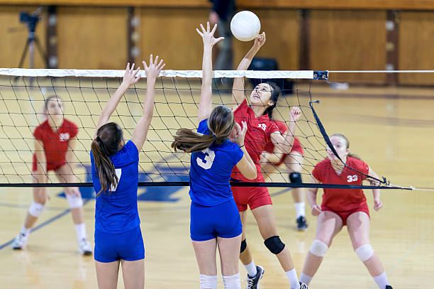 Volleyball Image 2